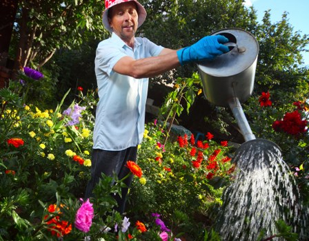 Professional gardening services in Wimbledon